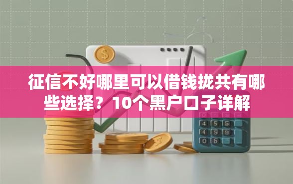 征信不好哪里可以借钱拢共有哪些选择？10个黑户口子详解