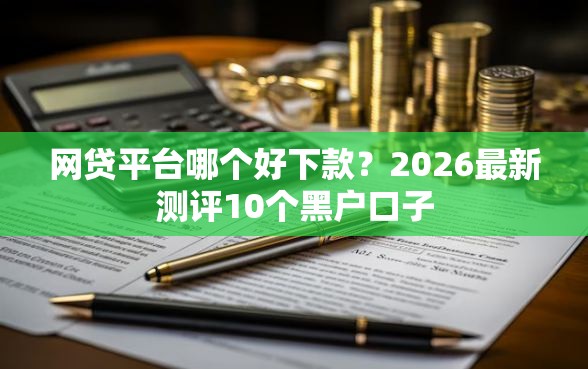 网贷平台哪个好下款？2026最新测评10个黑户口子