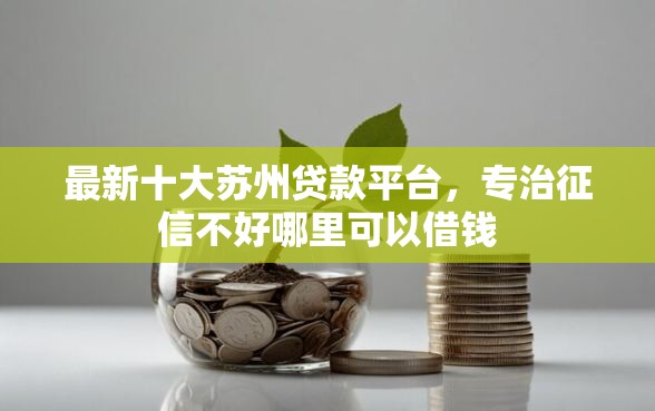 最新十大苏州贷款平台，专治征信不好哪里可以借钱
