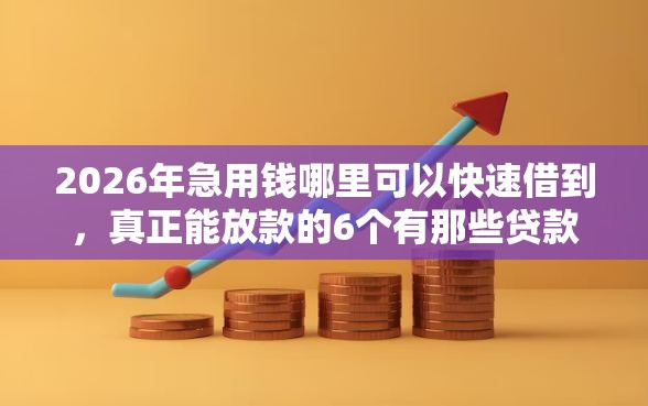 2026年急用钱哪里可以快速借到，真正能放款的6个有那些贷款平台不需要看征信推荐