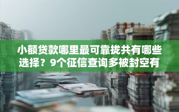 小额贷款哪里最可靠拢共有哪些选择？9个征信查询多被封空有下款的小额短期网贷口子详解