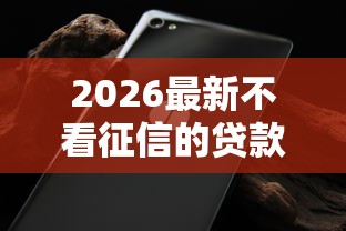2026最新不看征信的贷款平台（支持微信），6个无视黑白无视征信申请就下款的口子无私分享