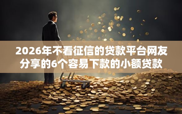 2026年不看征信的贷款平台网友分享的6个容易下款的小额贷款平台我觉得不错！
