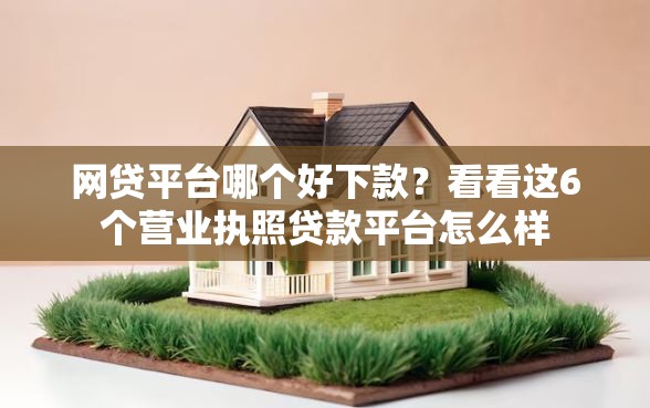 网贷平台哪个好下款？看看这6个营业执照贷款平台怎么样