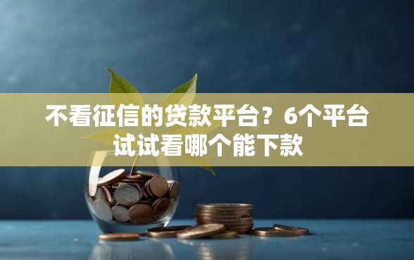 不看征信的贷款平台？6个平台试试看哪个能下款