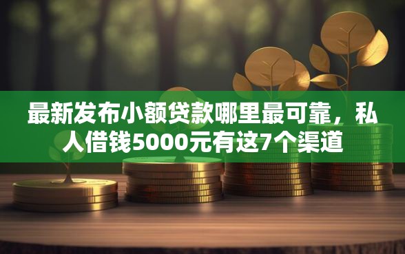 最新发布小额贷款哪里最可靠，私人借钱5000元有这7个渠道
