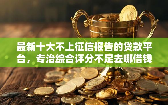 最新十大不上征信报告的贷款平台，专治综合评分不足去哪借钱