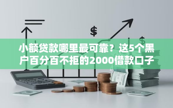 小额贷款哪里最可靠？这5个黑户百分百不拒的2000借款口子值得一试