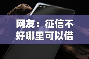 网友：征信不好哪里可以借钱？求介绍几款不审核直接放款的平台