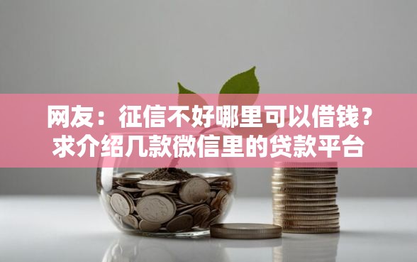 网友：征信不好哪里可以借钱？求介绍几款微信里的贷款平台