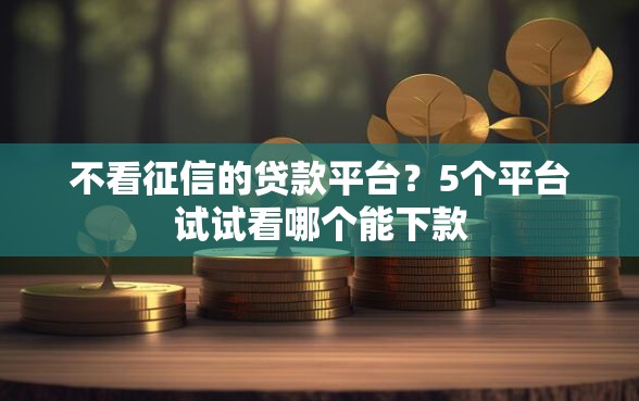 不看征信的贷款平台？5个平台试试看哪个能下款