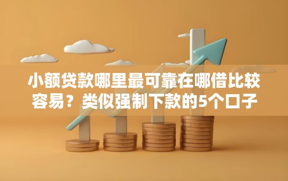 小额贷款哪里最可靠在哪借比较容易？类似强制下款的5个口子参考