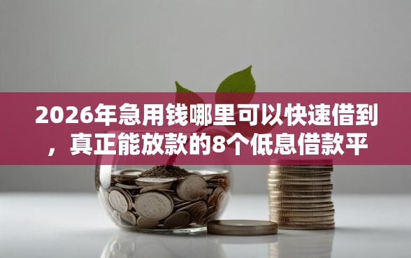 2026年急用钱哪里可以快速借到，真正能放款的8个低息借款平台推荐