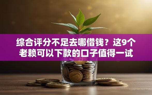 综合评分不足去哪借钱？这9个老赖可以下款的口子值得一试