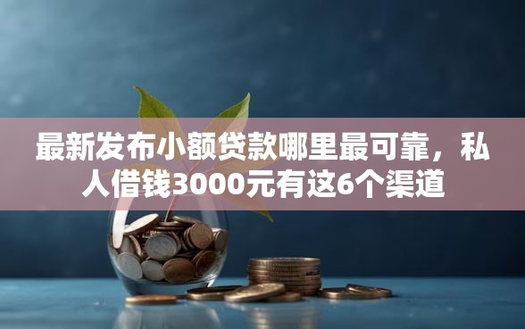 最新发布小额贷款哪里最可靠，私人借钱3000元有这6个渠道