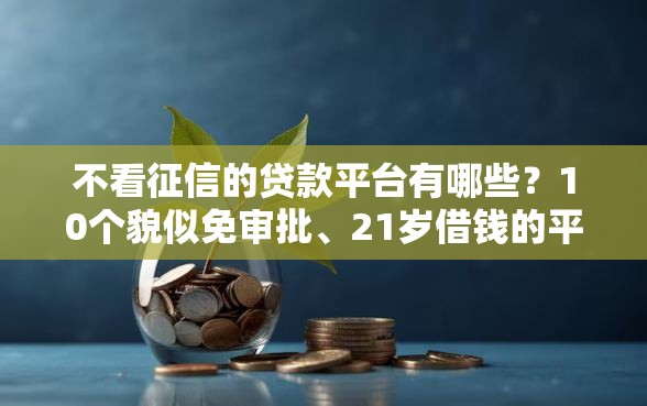 不看征信的贷款平台有哪些？10个貌似免审批、21岁借钱的平台100%能借到合集