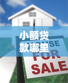 小额贷款哪里最可靠选哪个平台？6个大额度贷款平台推荐