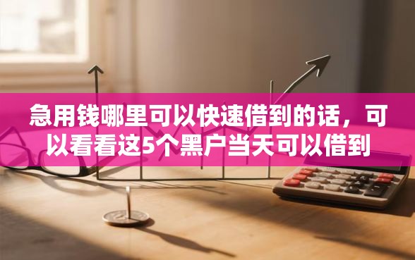 急用钱哪里可以快速借到的话，可以看看这5个黑户当天可以借到二万的平台