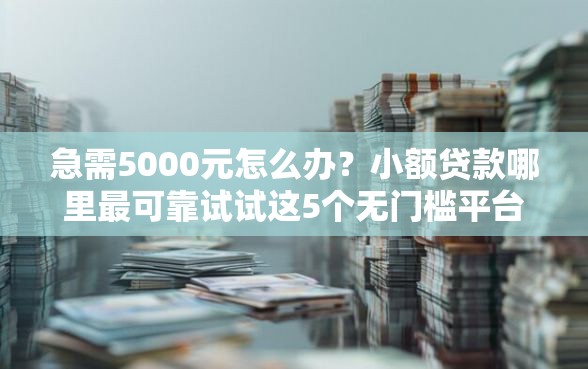 急需5000元怎么办？小额贷款哪里最可靠试试这5个无门槛平台