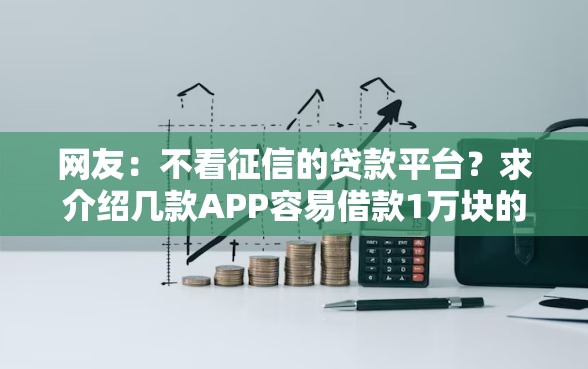 网友：不看征信的贷款平台？求介绍几款APP容易借款1万块的口子