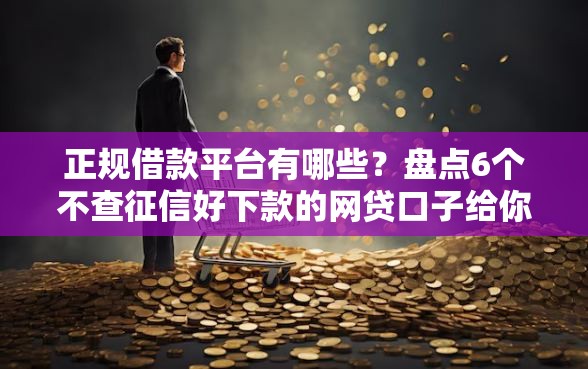 正规借款平台有哪些？盘点6个不查征信好下款的网贷口子给你参考