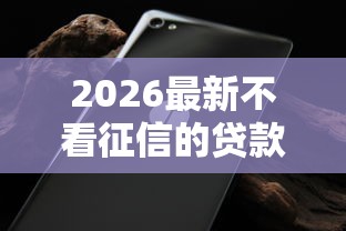 2026最新不看征信的贷款平台（支持支付宝），7个无视黑白下款8000左右的口子无私分享