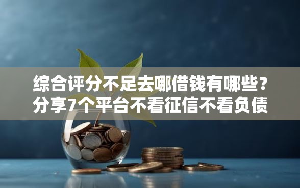 综合评分不足去哪借钱有哪些？分享7个平台不看征信不看负债好下款
