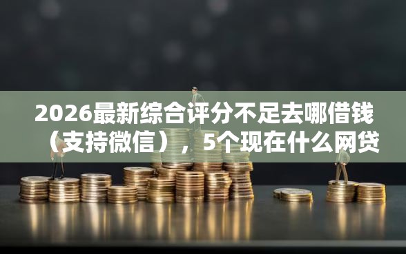 2026最新综合评分不足去哪借钱（支持微信），5个现在什么网贷平台最容易通过无私分享