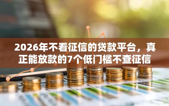 2026年不看征信的贷款平台，真正能放款的7个低门槛不查征信的软件推荐