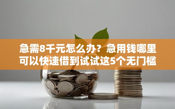 急需8千元怎么办？急用钱哪里可以快速借到试试这5个无门槛平台