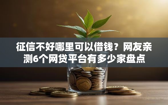 征信不好哪里可以借钱？网友亲测6个网贷平台有多少家盘点