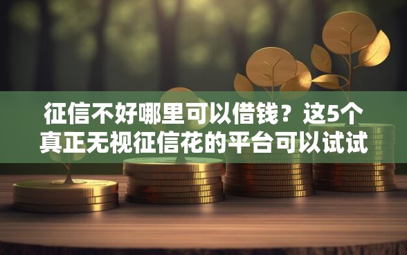 征信不好哪里可以借钱？这5个真正无视征信花的平台可以试试