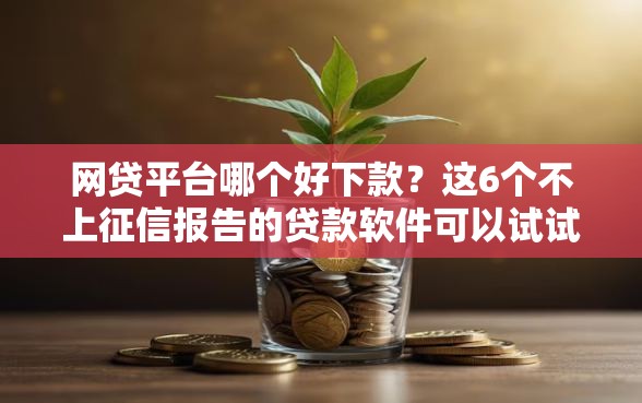 网贷平台哪个好下款？这6个不上征信报告的贷款软件可以试试