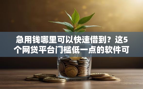 急用钱哪里可以快速借到？这5个网贷平台门槛低一点的软件可以试试