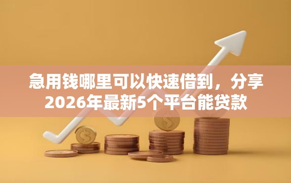 急用钱哪里可以快速借到，分享2026年最新5个平台能贷款