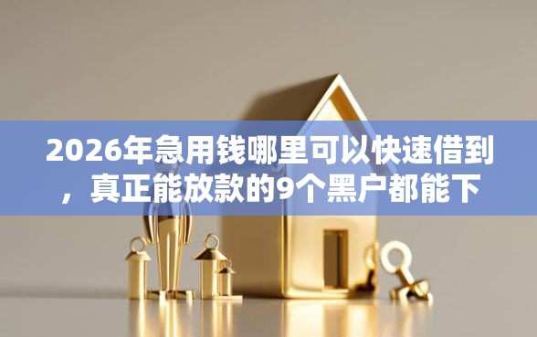 2026年急用钱哪里可以快速借到，真正能放款的9个黑户都能下款的平台推荐