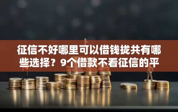 征信不好哪里可以借钱拢共有哪些选择？9个借款不看征信的平台详解