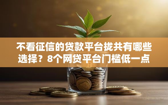 不看征信的贷款平台拢共有哪些选择？8个网贷平台门槛低一点的平台详解