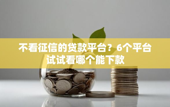 不看征信的贷款平台？6个平台试试看哪个能下款