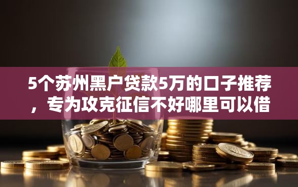 5个苏州黑户贷款5万的口子推荐，专为攻克征信不好哪里可以借钱难题