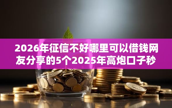 2026年征信不好哪里可以借钱网友分享的5个2025年高炮口子秒下款我觉得不错！