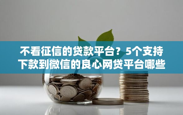 不看征信的贷款平台？5个支持下款到微信的良心网贷平台哪些好
