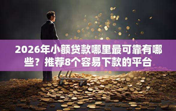 2026年小额贷款哪里最可靠有哪些？推荐8个容易下款的平台