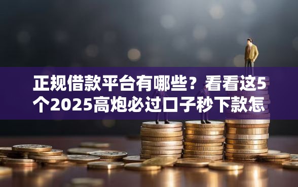 正规借款平台有哪些？看看这5个2025高炮必过口子秒下款怎么样
