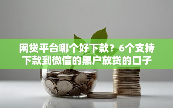 网贷平台哪个好下款？6个支持下款到微信的黑户放贷的口子
