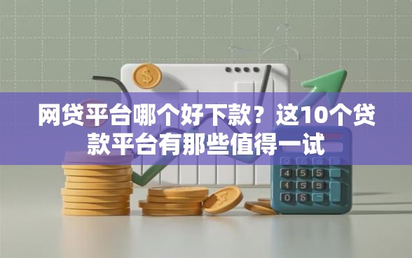 网贷平台哪个好下款？这10个贷款平台有那些值得一试