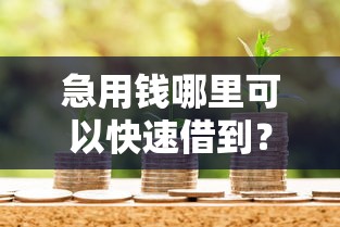 急用钱哪里可以快速借到？这7个未成年贷款的平台值得一试