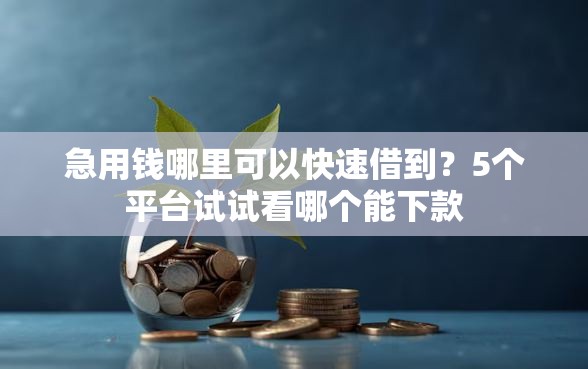 急用钱哪里可以快速借到？5个平台试试看哪个能下款