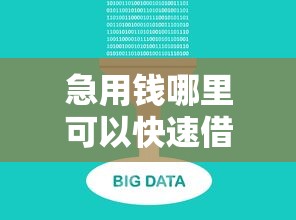 急用钱哪里可以快速借到？2026最新测评10个无视逾期大数据花户黑户软件