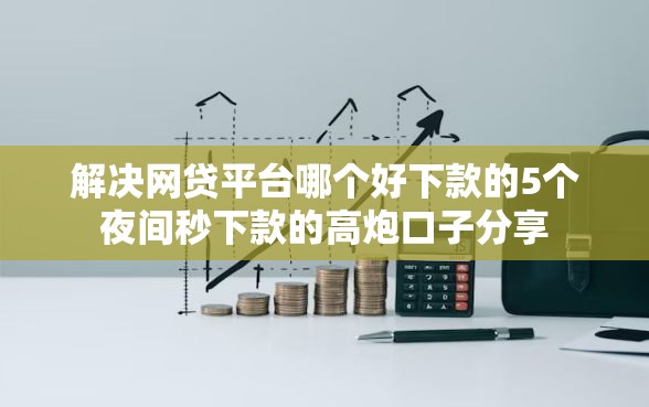 解决网贷平台哪个好下款的5个夜间秒下款的高炮口子分享